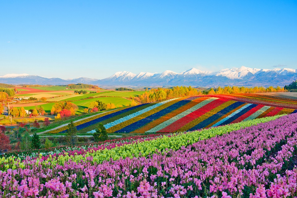 Top 30 địa điểm cảnh đẹp nhất Nhật Bản đáng du lịch