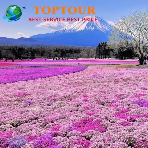 Tham Khảo Top 25 Địa Điểm Đẹp Nhất Du Lịch Tại Nhật Bản