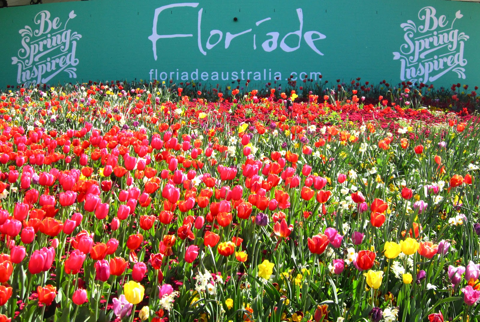 Du lịch Úc khám phá lễ hội Floriade, Canberra | TOPTOUR