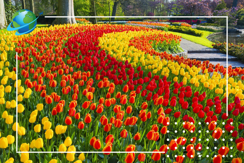 Hà Lan xinh đẹp trong khung cảnh hoành tráng của lễ hội hoa tulip